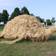 Image for article titled Japan's Straw Beasts Are Huge, Wonderful, and Highly Flammable